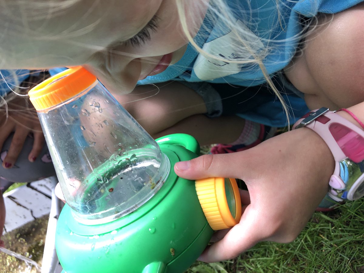 196yscamp's tweet photo. Yesterday on the 2nd grade field trip, the had lots of fun using two way viewers to look more closely at the organisms that they found! https://t.co/0UyVDYPQBJ