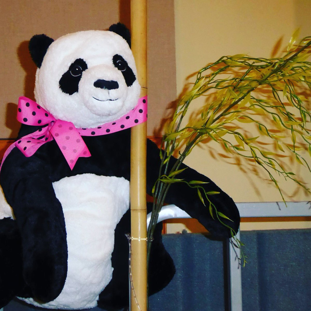 rotr_calgary's tweet photo. A cappella Pandamonium Party
Thank you to the 6 choruses and 13 quartets that performed - what a "chord ringing" evening. Stay tuned for the party photo album - coming soon! #rhythmoftherockies #choruslife #region26 https://t.co/OTgFKTFkC6