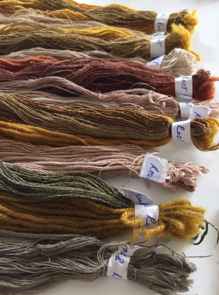 spottedhyenas's tweet photo. Rhubarb root natural dye bath : wool, silk, cotton &amp; linen thread

Natural Dyeing Course at the Ditchling Museum with Jenny Dean - @museumartcraft

#naturaldyes #rhubarbroot #silk #cotton #wool #linen #modifiers #copper #iron #acid #alkali #craft #art #museum #botanical https://t.co/3l3FGsItRs