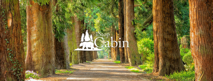 1StopCabin's tweet photo. Thank you for being our first customers and fans  🎉🎊 - https://t.co/lGqqkE7npj https://t.co/fKqtj600Dz