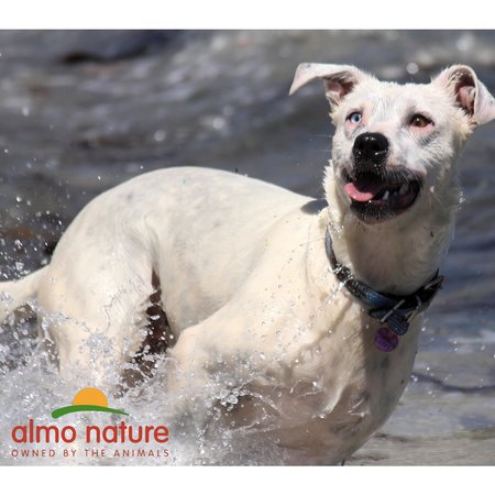 AlmoNature_INT's tweet photo. It's the first day of summer! We're excited, too !!
#SummerPetTips :
Never leave your pet in the car
Keep your house cool for your pet while you are gone
Keep plenty of water available
#SummerSolstice https://t.co/c8hhpqu8ka