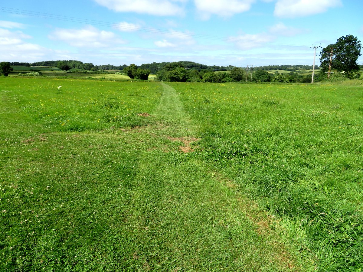 Monarchsway's tweet photo. A great cut track through a field outside #Doynton and beautiful #Buttercups in the view as well on the #Monarchsway in #South_Gloucestershire https://t.co/AiLQfuEk5Q