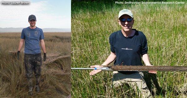 SmithsonianEnv's tweet photo. These @CoastalCarbon scientists wanted to estimate how much "blue carbon" wetlands can store, but the official data didn't work for them. So they built their own dataset...of nearly 2,000 soil cores https://t.co/uAPsHPwIcA #GrassrootsScience https://t.co/uVXYPmzjDU