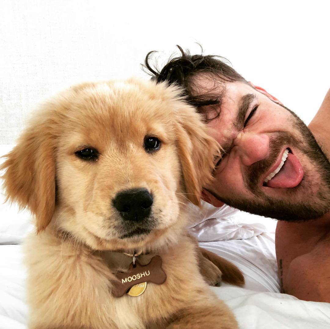 AlexPallNY's tweet photo. Pupperino https://t.co/MwAnI63eS6