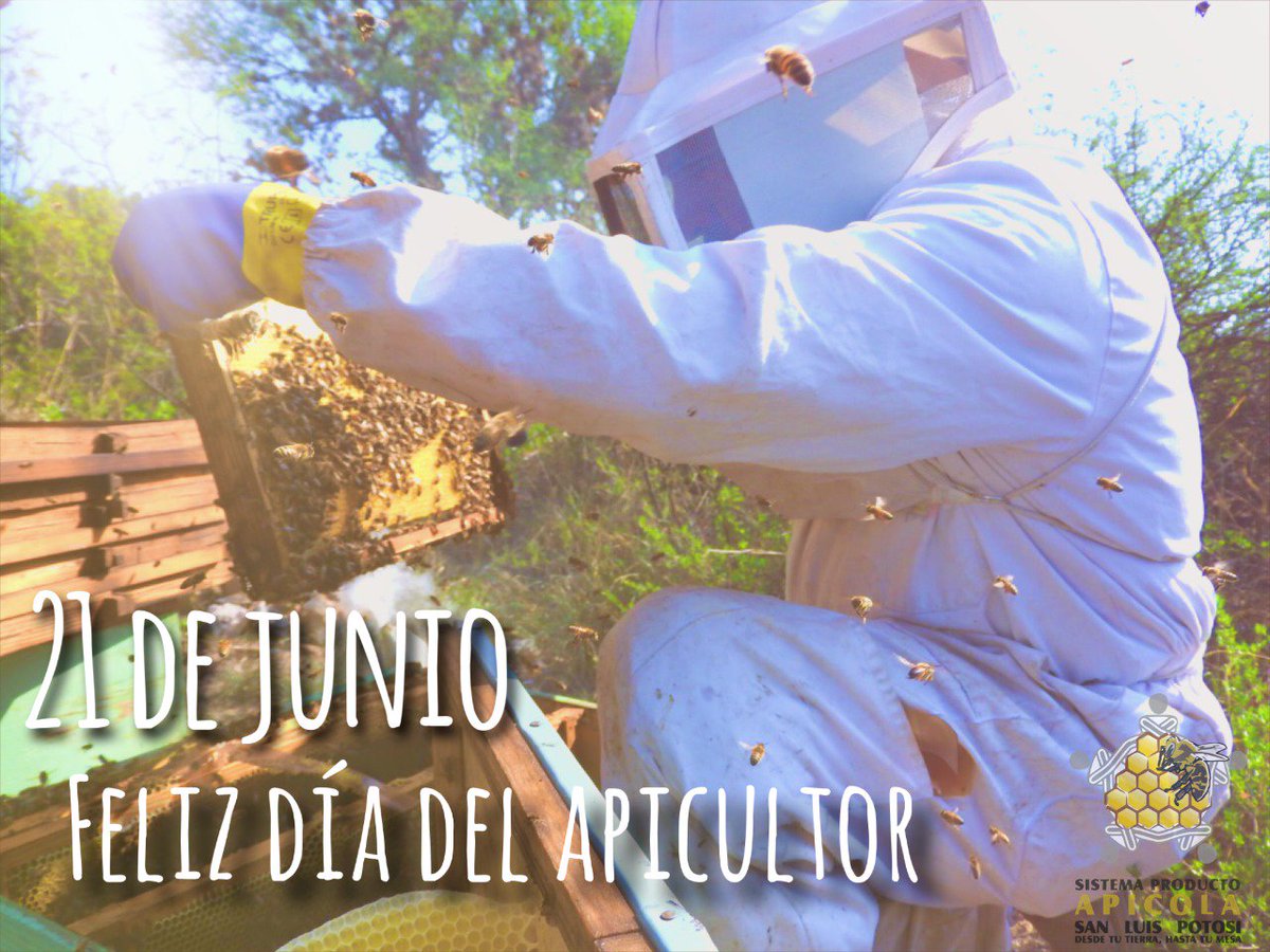 SPA_SLP's tweet image. Todo nuestro reconocimiento y admiración para nuestros compañeros apicultores por esta actividad tan importante que nos llena de orgullo. Muchas felicidades.
21 de junio #DíadelApicultor