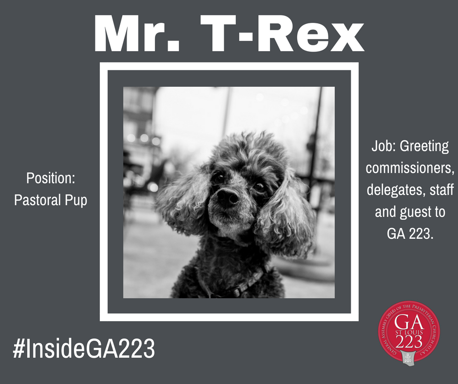 Presbyterian's tweet photo. A welcomed sight as guests enter America's Center in St. Louis has been Mr. T-Rex, the "official" pastoral pup and greeter at #GA223.
#InsideGA223 https://t.co/X6kiNRbAO1