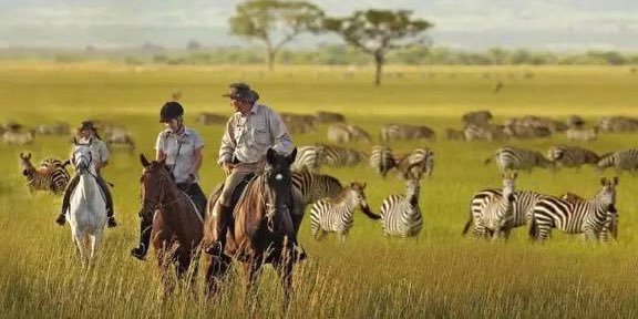 We have also introduced  #horseriding #safaris to our #Hwange experiences.. #Zimbabwe