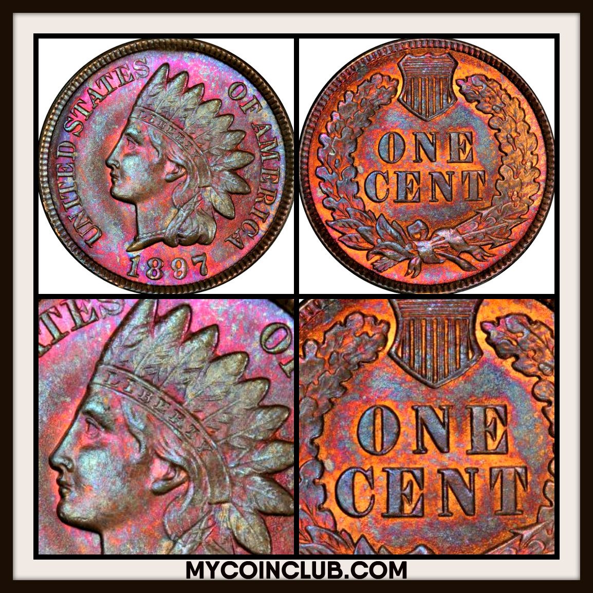 MyCoinClub's tweet image. Today's featured coin of the day is this gorgeous 1897 Indian Cent certified MS65 "Brown". Clearly, this is not your typical Brown coin!  Do you think the certification companies should have another designation besides "Brown" for beautifully toned copper?
mycoinclub.com