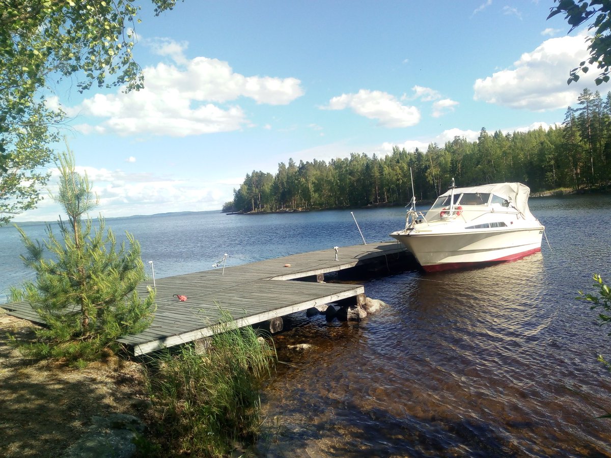 EquiMethod's tweet image. Juhannusvalmistelut Päijänteellä ..perinteinen juhannus luvassa; paljon ihmisiä ja eläimiä, juhannuskoivyt, ulkona tehdään yhdessä ruokaa, saunaa, urheilua, yhdessä oloa, sadetta ja 14 astetta? ...mutta ei yhtään alkoholia 😊👒