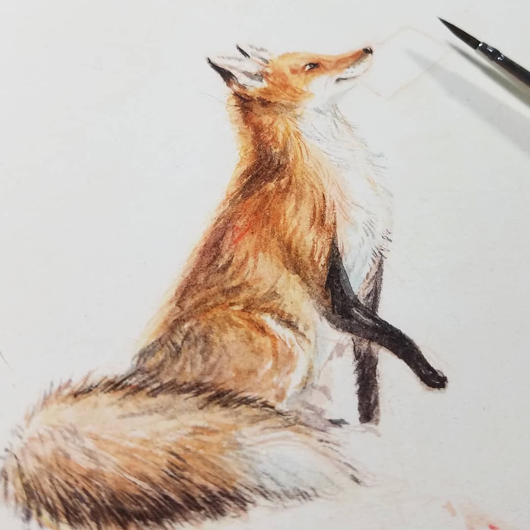 PebbleandMoon's tweet photo. Our sweet and helpful fox friend, an original watercolor for the book LITTLE MOSS, BIG TREE
Live now on Kickstarter!  https://t.co/jwMy0KP3Uq

#fox #art #friends #kidlit #readtome #naturewalk #earlyliteracy #watercolor #gooutside #hike #explore https://t.co/xVBVNArNiT