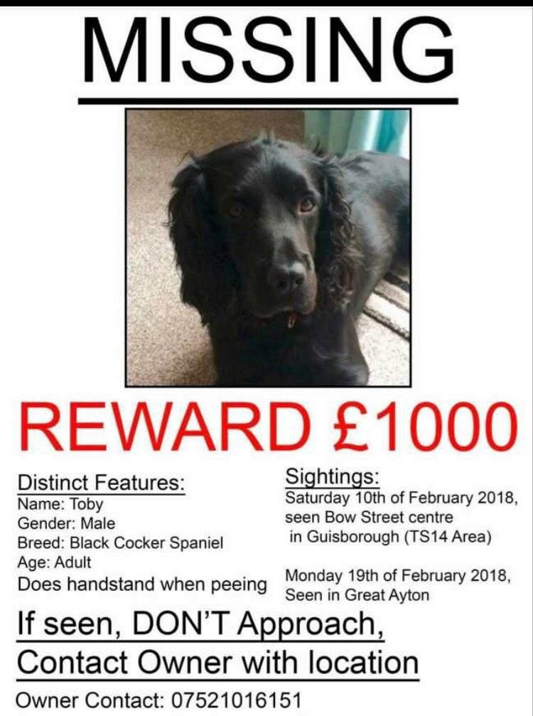 suedaycam's tweet photo. Please RT for Toby๐พ#FindMissingToby
Missing from #Guisborough #TS14 #NorthEast since 10 Feb 2018๐
Look out for his funny handstand style when he peesโผ๏ธ
#REWARD for his safe return. Family miss him so much๐
https://t.co/IoHGzAC5bj https://t.co/SbMCVnwi6h