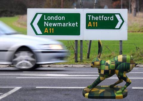 GoGoHareForrest's tweet image. I kind of get the feeling that Forrest is trying to leave  Thetford? I wonder where he is off to now? @break_charity @GoGoHares2018 @GoGoCreate @ThetfordAcaduk @TakeYourPlaceHE @NorwichUniArts