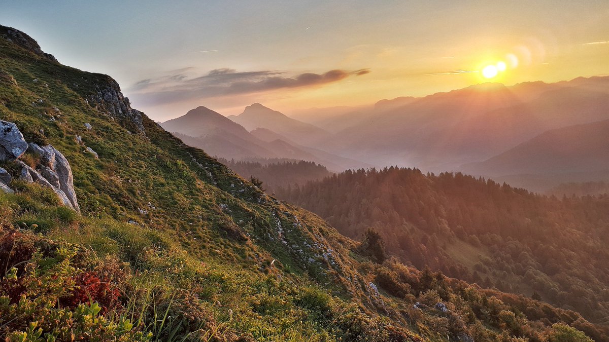 yOyO38's tweet photo. Chartreuse magique !
#trail #trailrunning #chartreuse @massifchartreuse @visitisere #visitisere #igersgrenoble #lapinea #wild #mountains https://t.co/QPotl3KLnr