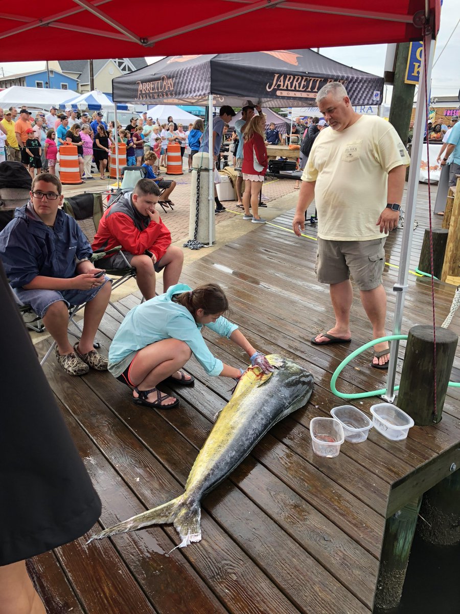 CMAST summer fellow Chloe Mikles dissecting a fish to harvest the stomach for analysis. @CMAST_NCSU