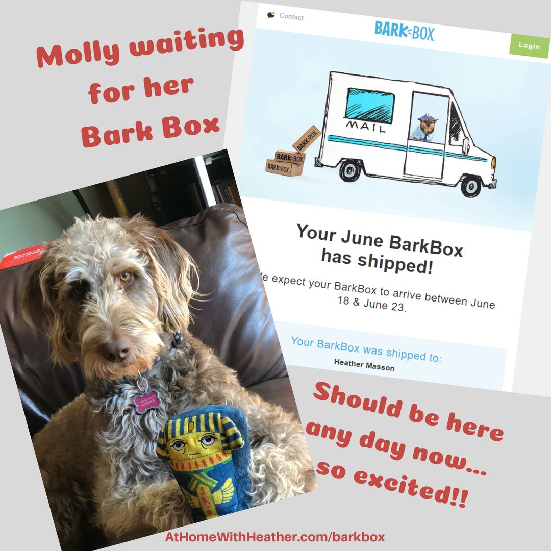 HeatherMasson's tweet image. Molly is waiting eagerly for her JUNE Bark Box to arrive...

She absolutely loves getting new treats and toys every month.  I wonder what this months box will have in it for her? Check it out:  AtHomeWithHeather.com/barkbox

#junebarkbox #missmolly #puppytoys #barkbox #barkboxday
