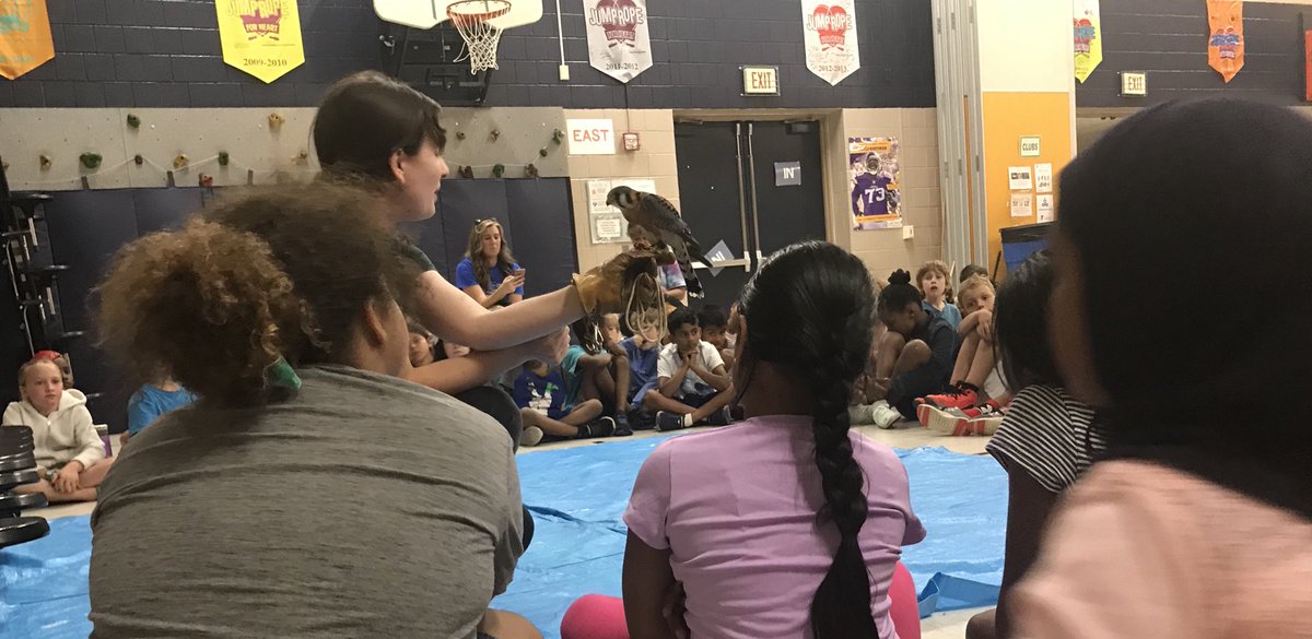 196yscamp's tweet photo. 3rd graders had an interesting presentation today from the raptor center. https://t.co/GI6cIZxemk