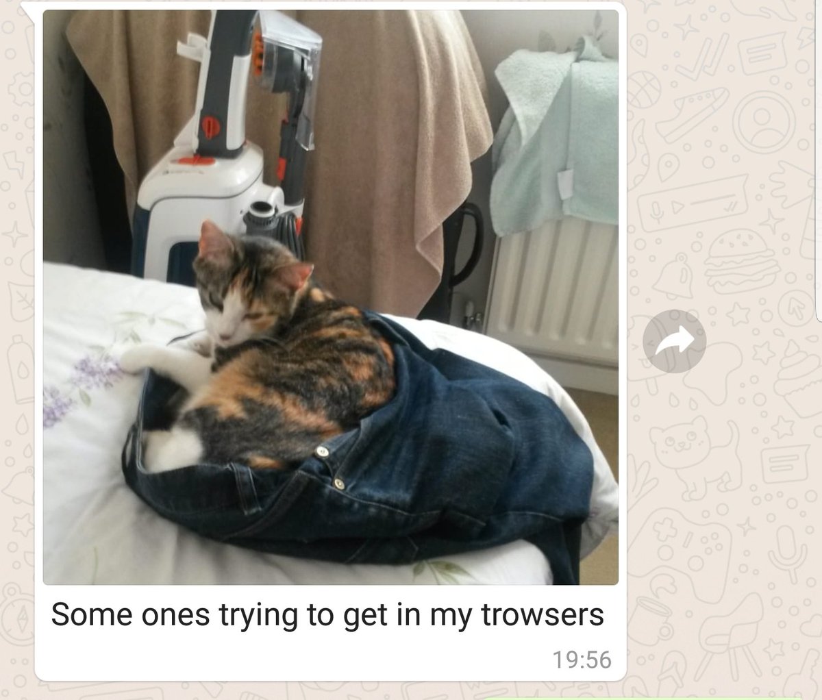 XBLcolonel's tweet image. Trying to watch #ARGCRO when I get a disturbing text from my 75 year old dad. Following a short telcon he sent via WhatsApp giving much needed context. #fail #smsfail #dadfail #EmbarrassingDad