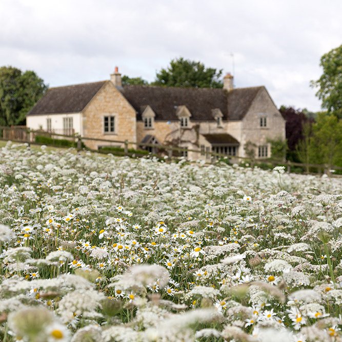 A Cotswold village house peeks over the top of a wildflower meadow.
Find out more about this project in our book #TwentyFirstCenturyCotswolds.