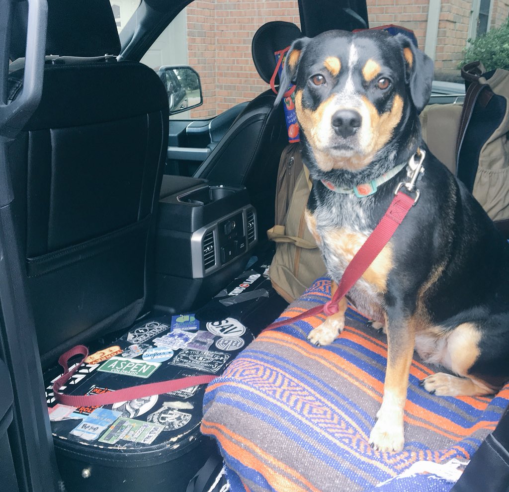 The tour manager 

nashville —> st. louis