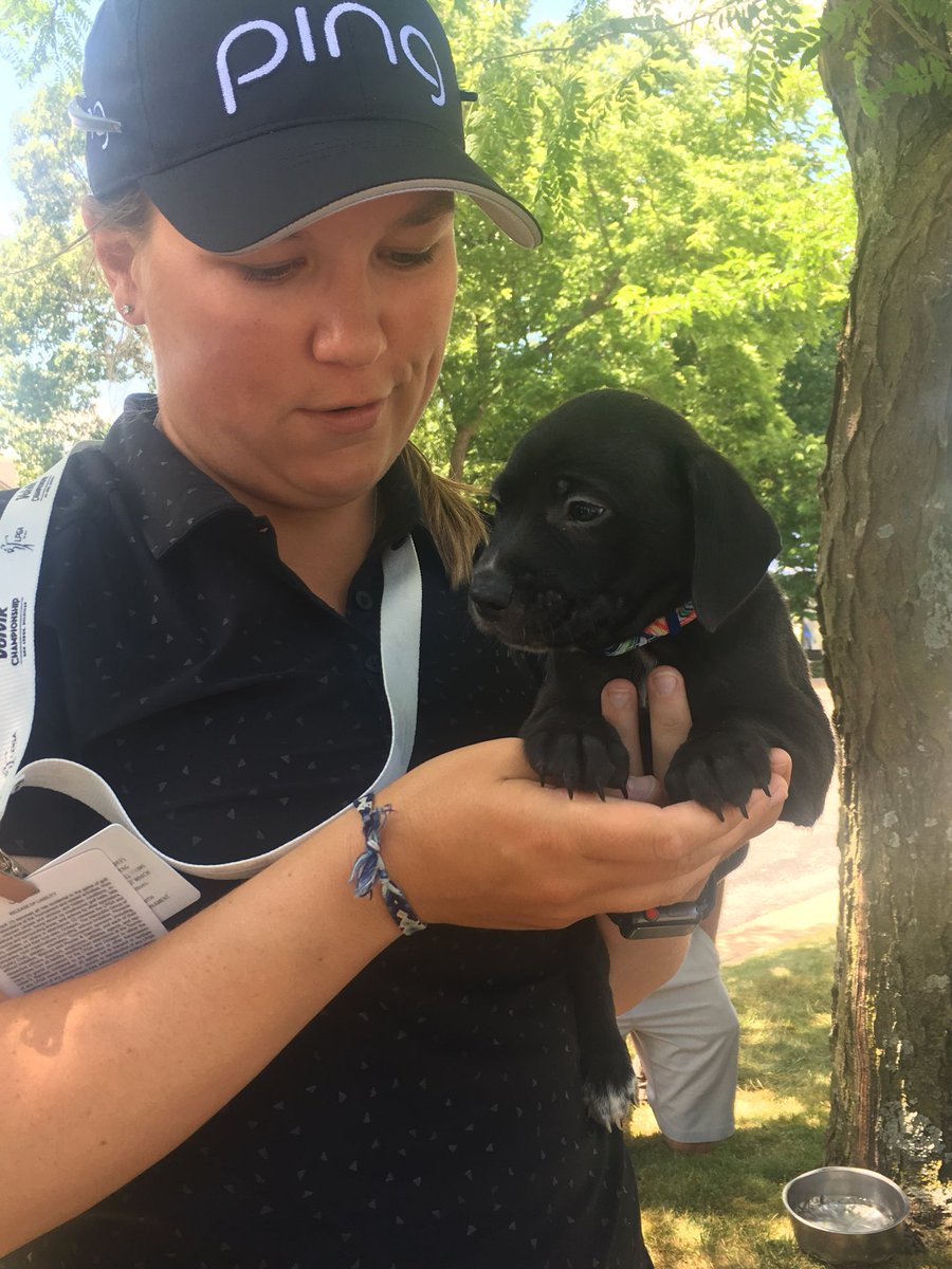 NWAChampionship's tweet photo. Puppies galore at #NWAChampionship! Thank you @CindyLaCrosse and Humane Society of Rogers! #LetsAdopt #NWAChampionship https://t.co/7bHXWmGv5r