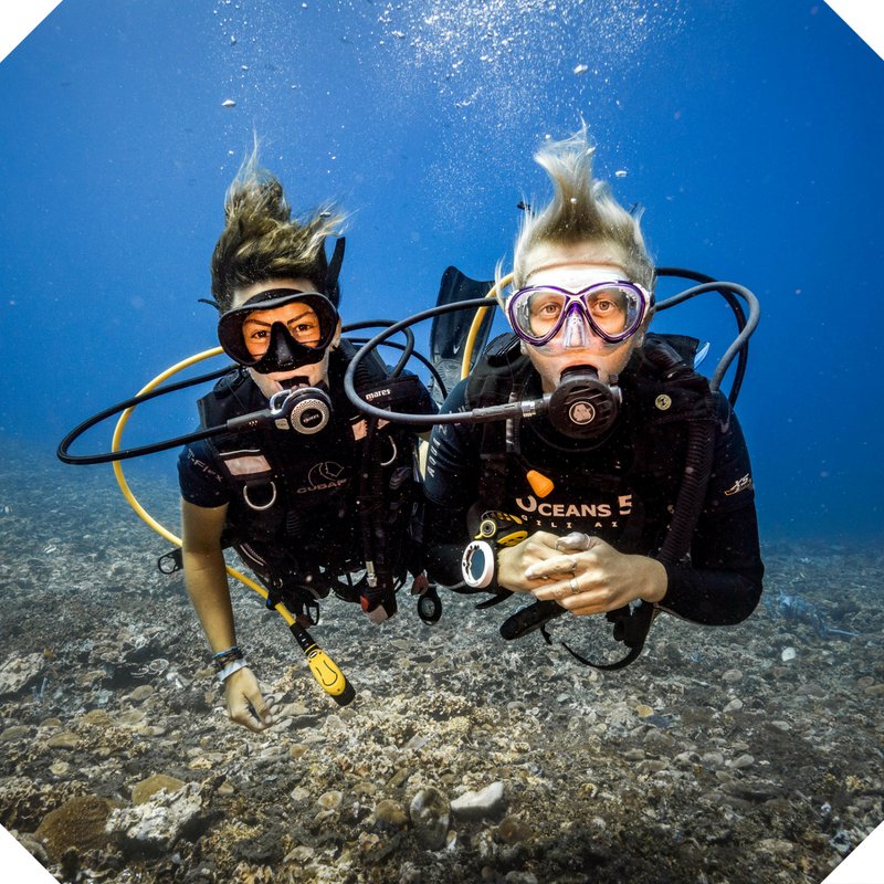 your_IDC_'s tweet image. Our newly graduated #PADIinstructors have perfected their #diving #hairstyles! 

Show us your best underwater hairstyles! 

Photograph by @soulwaterproductions