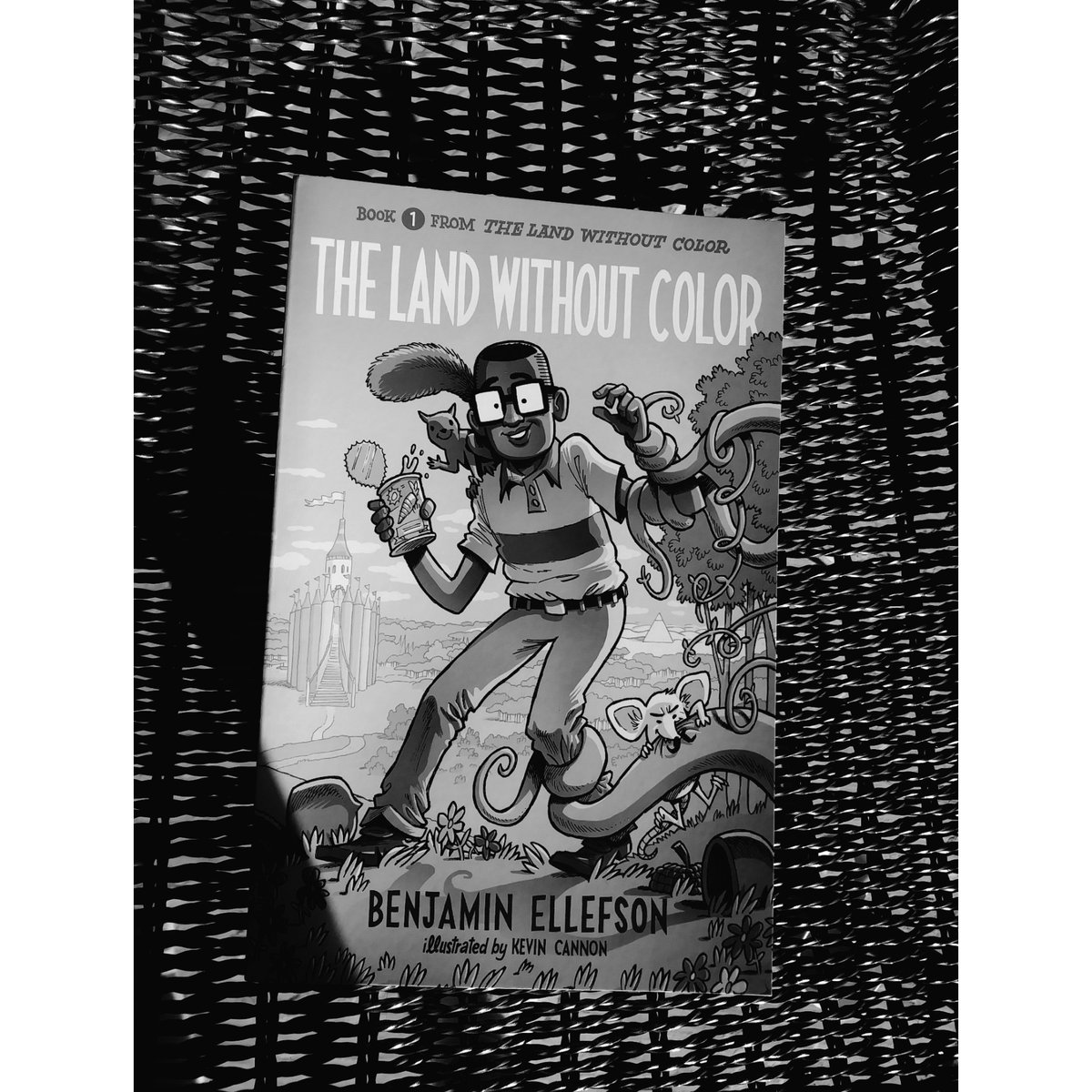 RussellBookworm's tweet photo. #currentlyreading #thelandwithoutcolor by #benjaminellefson illustrated by #kevincannon #bookreview #amreading #bookworm #booknerd #russellthebookworm https://t.co/QkflFCLWzq