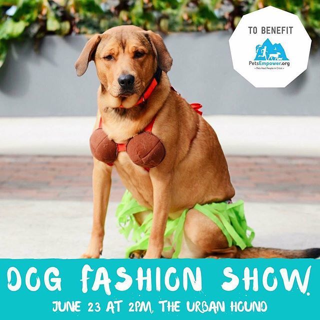 theurbanhound's tweet image. Two days!!!! Join us for food, drinks, raffles, music, and a fantastic fashion show - all to benefit a great organization, @petsempowerorg. We can't wait! ·
·
·
#theurbanhoundhotel #urbanhound #dogsofthesouthend #dogsofboston #theurbanhound #southenddogs… ift.tt/2K97f7Y