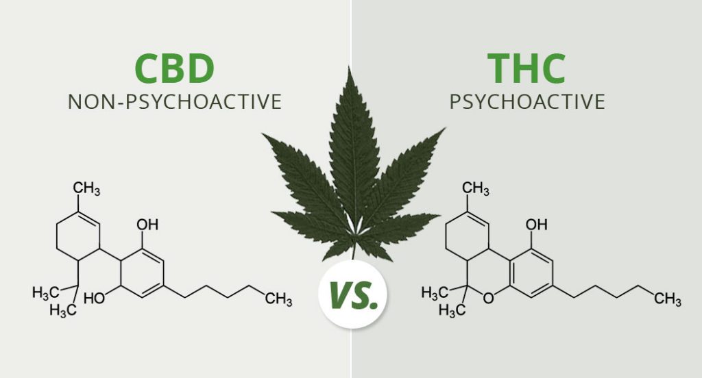 IDEALAHeadshop's tweet photo. CBD Products: E-Liquids, Edibles &amp; Oil https://t.co/imbuMglMML https://t.co/8cAtJyzxaE