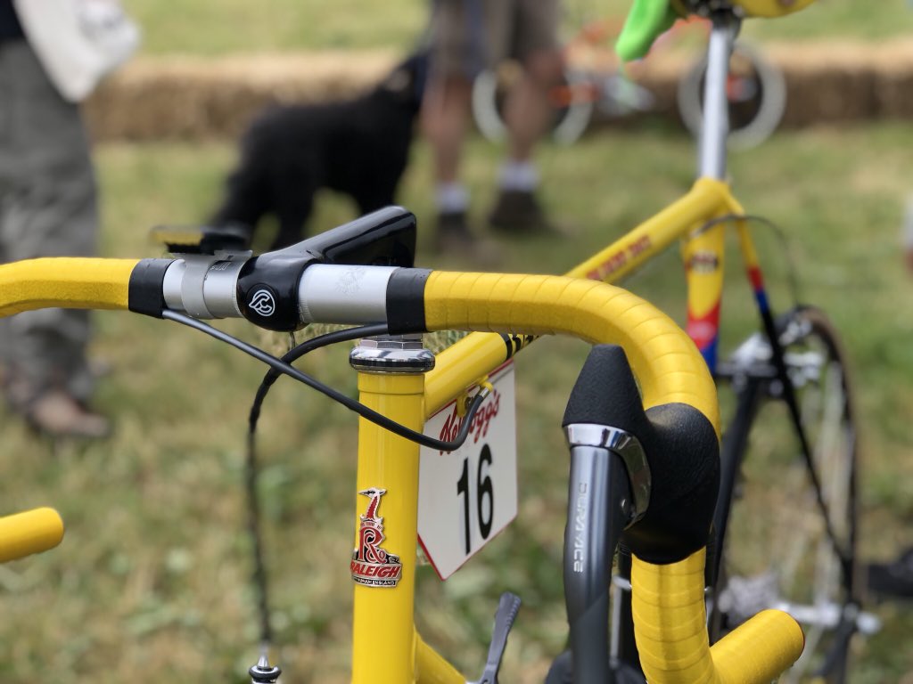 raleigh banana 531c