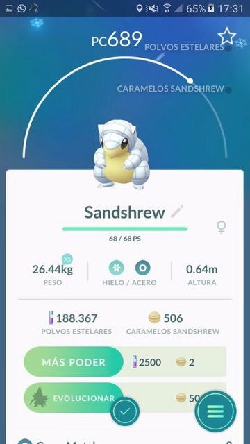 GO Hub España on X: Meowth Alola en Pokémon GO.