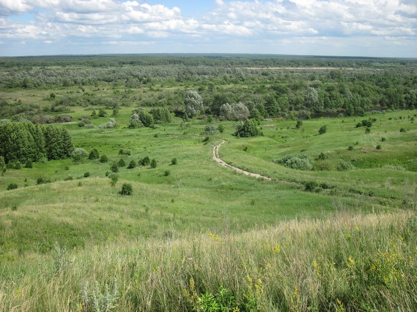 Желаний, картинки касимовский район