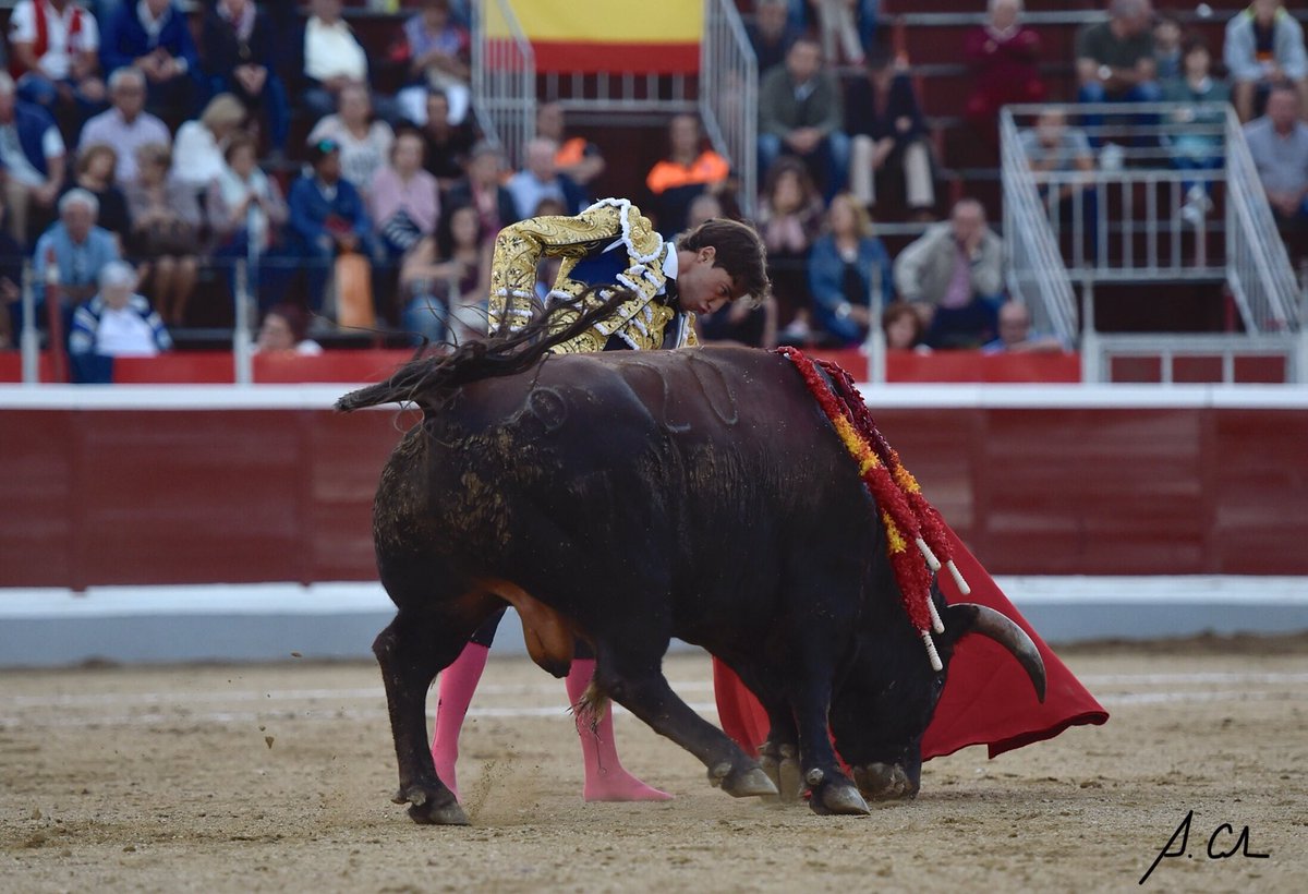 Momentos con <a href="/alejandrogarde3/">ALEJANDRO GARDEL</a> y <a href="/Montealto_UNJ/">Ganadería Montealto 🇪🇦</a> vividos la pasada Feria en <a href="/Ayto_Guadarrama/">Ayto de Guadarrama</a>