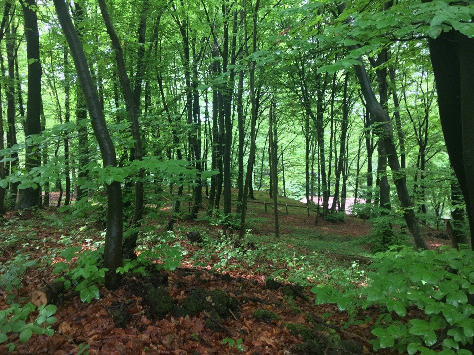 <a href="/WillJGardner/">William Gardner</a> shares his experiences from <a href="/EOC_2018/">EOC2018</a>, how our support helped his preparations, and the ups and downs of racing orienteeringfoundation.org.uk/will-gardner-a…