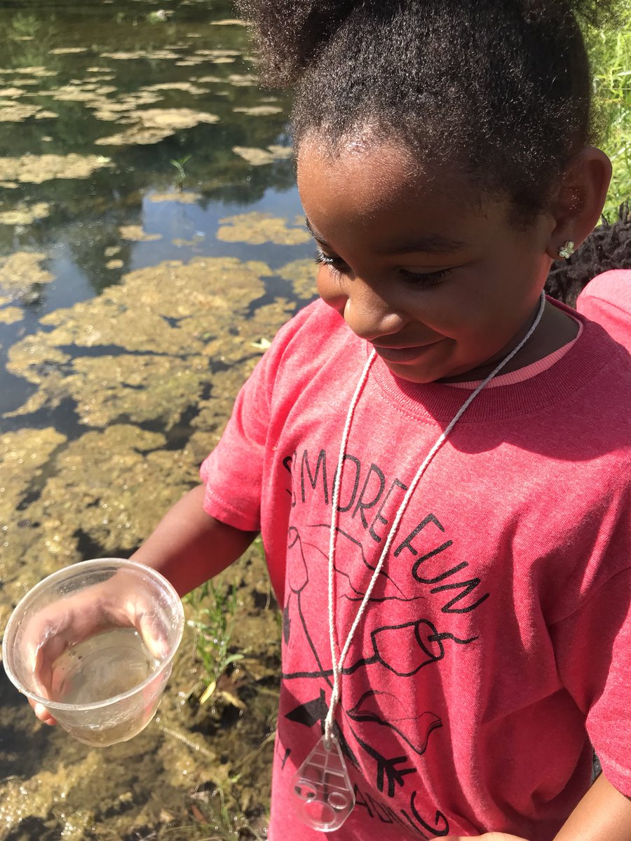 MsMcBath's tweet photo. Thank you Mother Nature for providing the best classroom for these kiddos! #hcdeengage https://t.co/P7B9qC2IRc