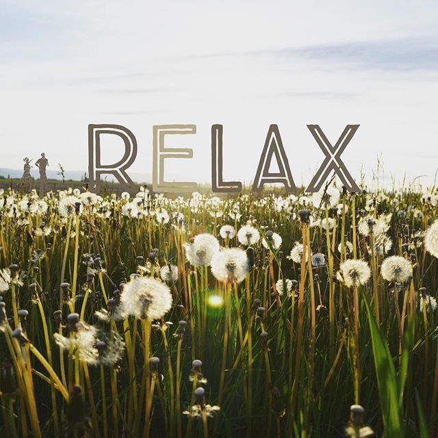 spark_runner's tweet photo. Vacations are supposed to be relaxing. Let’s carry that into your running routine as well. While you are traveling, let us take care of the routes and workouts. Just show up! #sparkrunner #findyourspark #runguide #runningpartner #runtoinspire #hhi #lowco… https://t.co/IDRQqbPU2i https://t.co/3y44samyq5