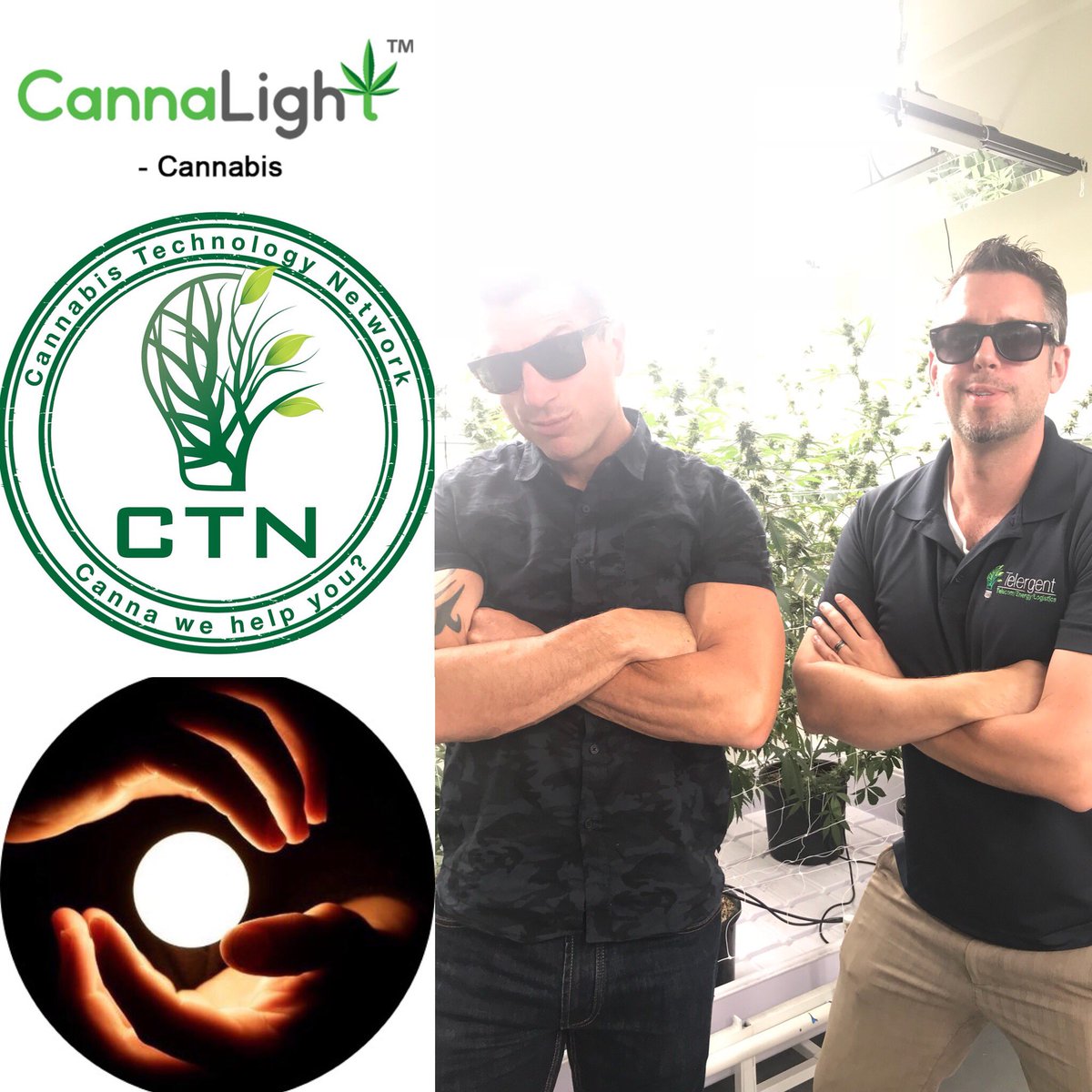 #suitsandbirks $uits&Birk$ #ledlighting #humanilluminance #cannabistechnologynetwork #telecommunications #internet #iot #accesscontrols #seedtosell #pos #tvmatrix #cabeling #led #energymanagement #cannawehelpyou #cannalight #likemindedalliance