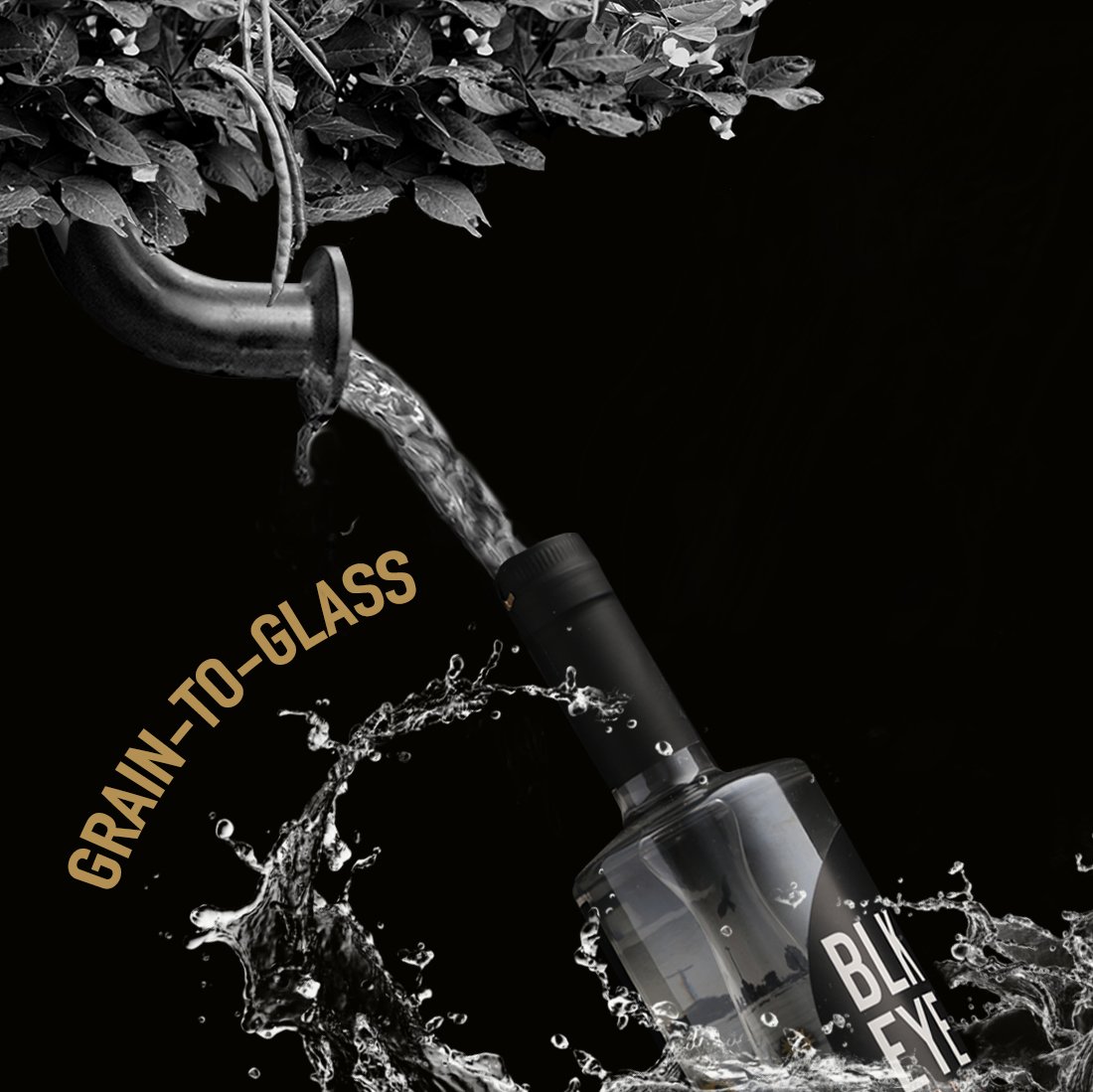 blackeyedco's tweet photo. Our grain-to-glass vodka made from 100% Texas-grown black-eyed peas and corn is so smooth, you’ll want to sip it slow. Welcome to the world of wince-free vodka. #BLKEYE #vodka #distillery #nearsouthside #fortworth https://t.co/iGXMMuq7Cg