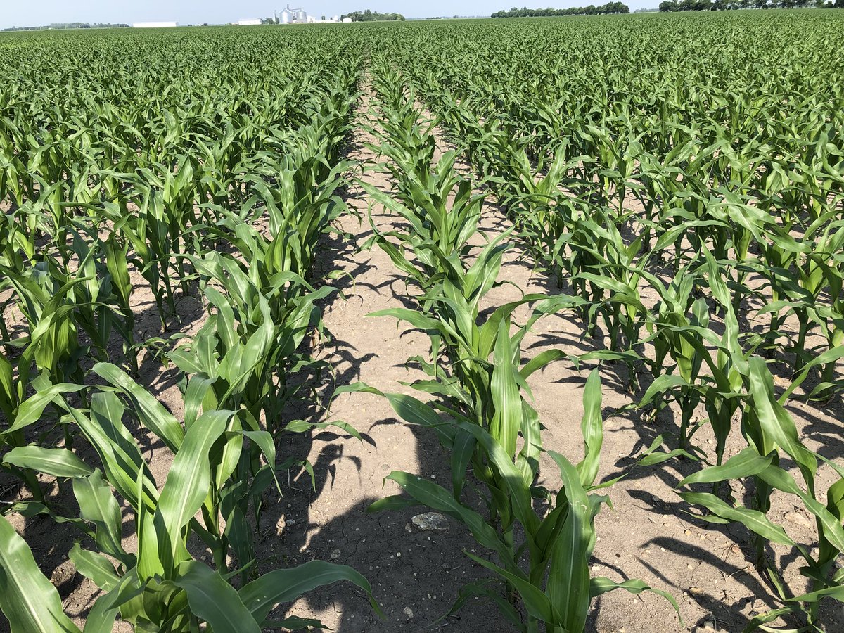 Kyle Schafer tweet media