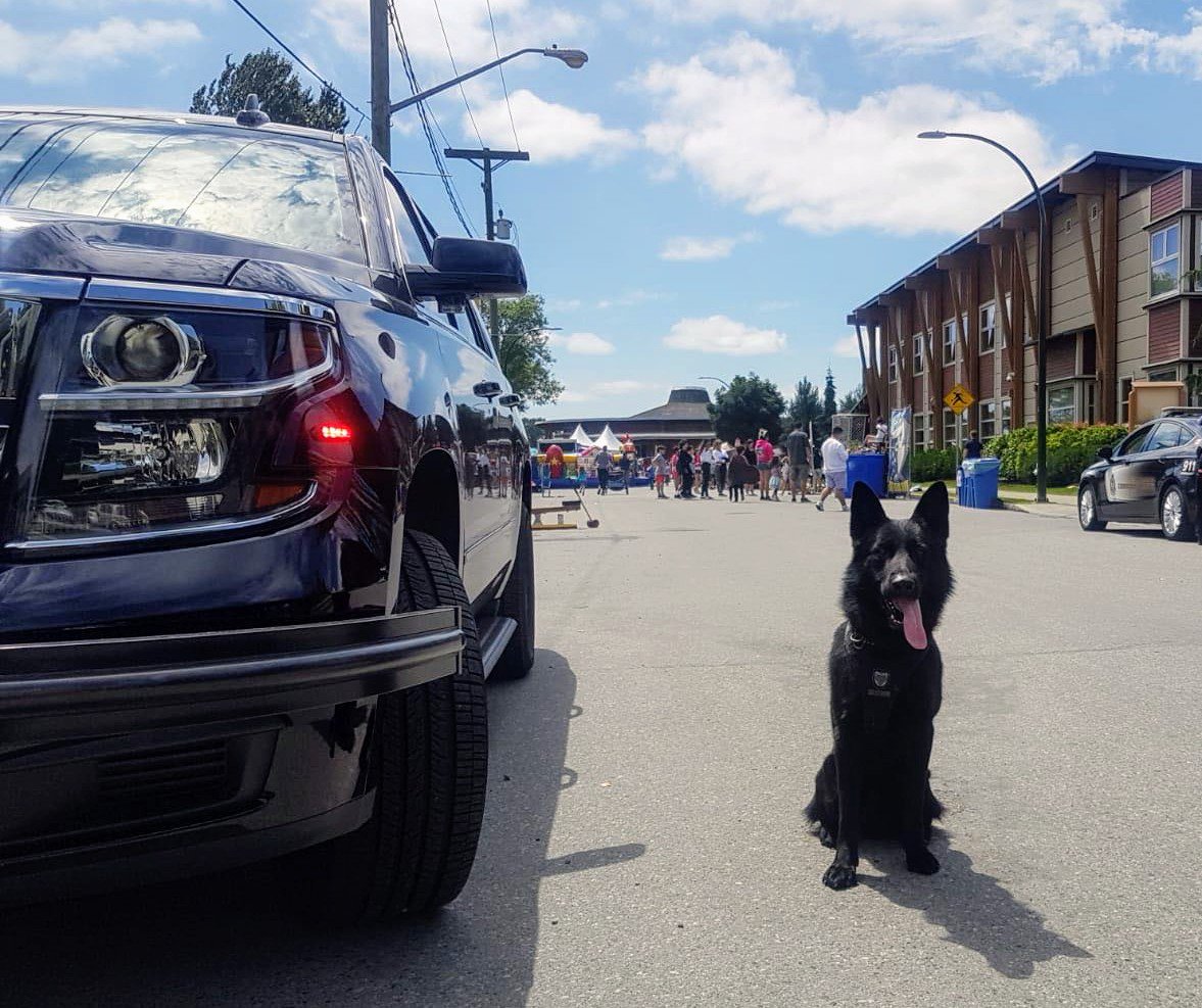 VPDCanine's tweet photo. PSD Vader was honoured to visit the #MusqueamNation today to celebrate #NationalIndigenousPeoplesDay. Great start to his day! #honour #respect https://t.co/5cCfbhkW1J