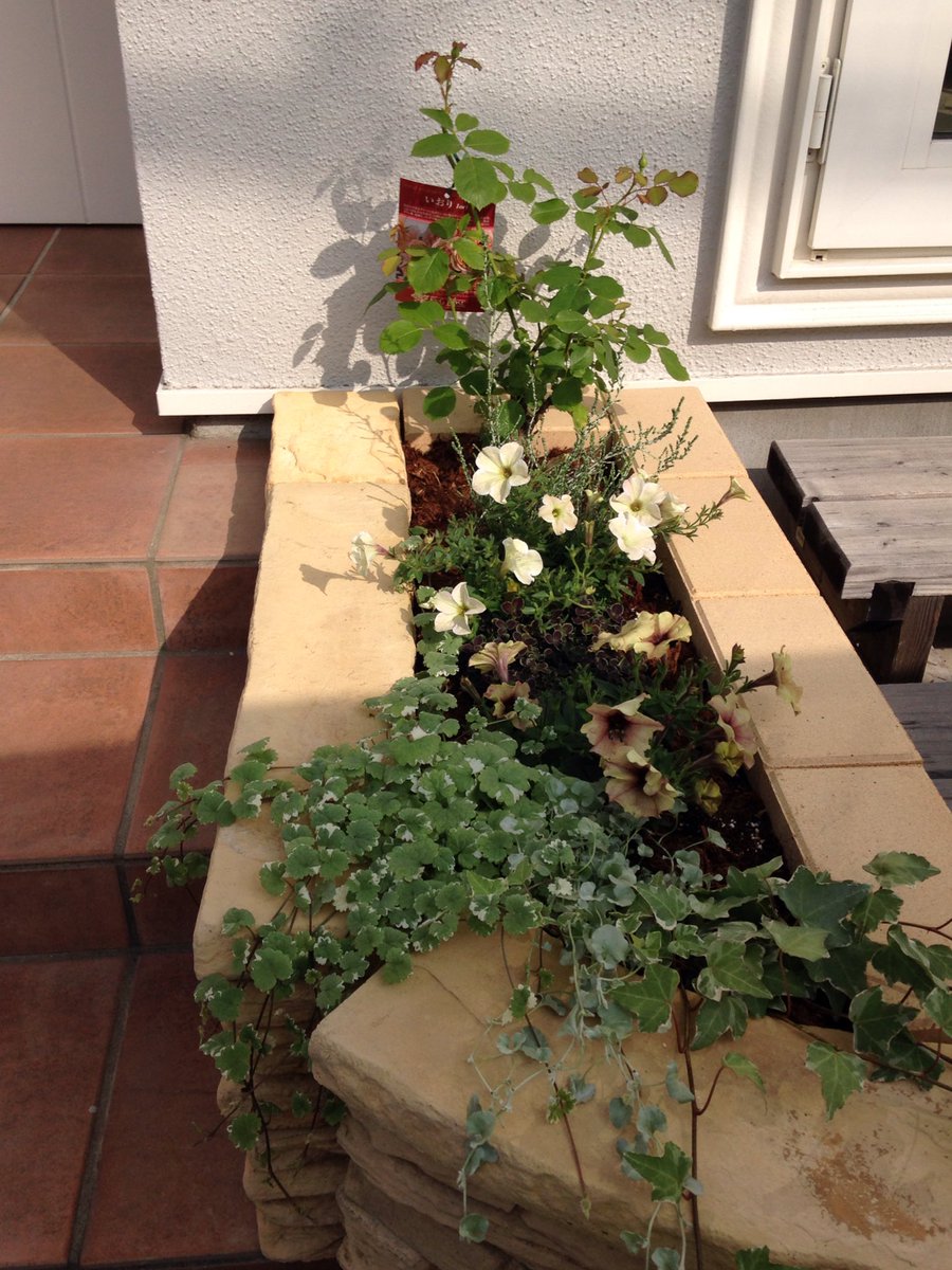 Chien シアン בטוויטר Diyで花壇作り 今回は ジョイフル本田 カインズホーム ビバホーム コーナンで 材料を集めて花壇を作りました 総額15 000円位でした 今度は隣にデッキと フェンスに挑戦します あっ つぼみ