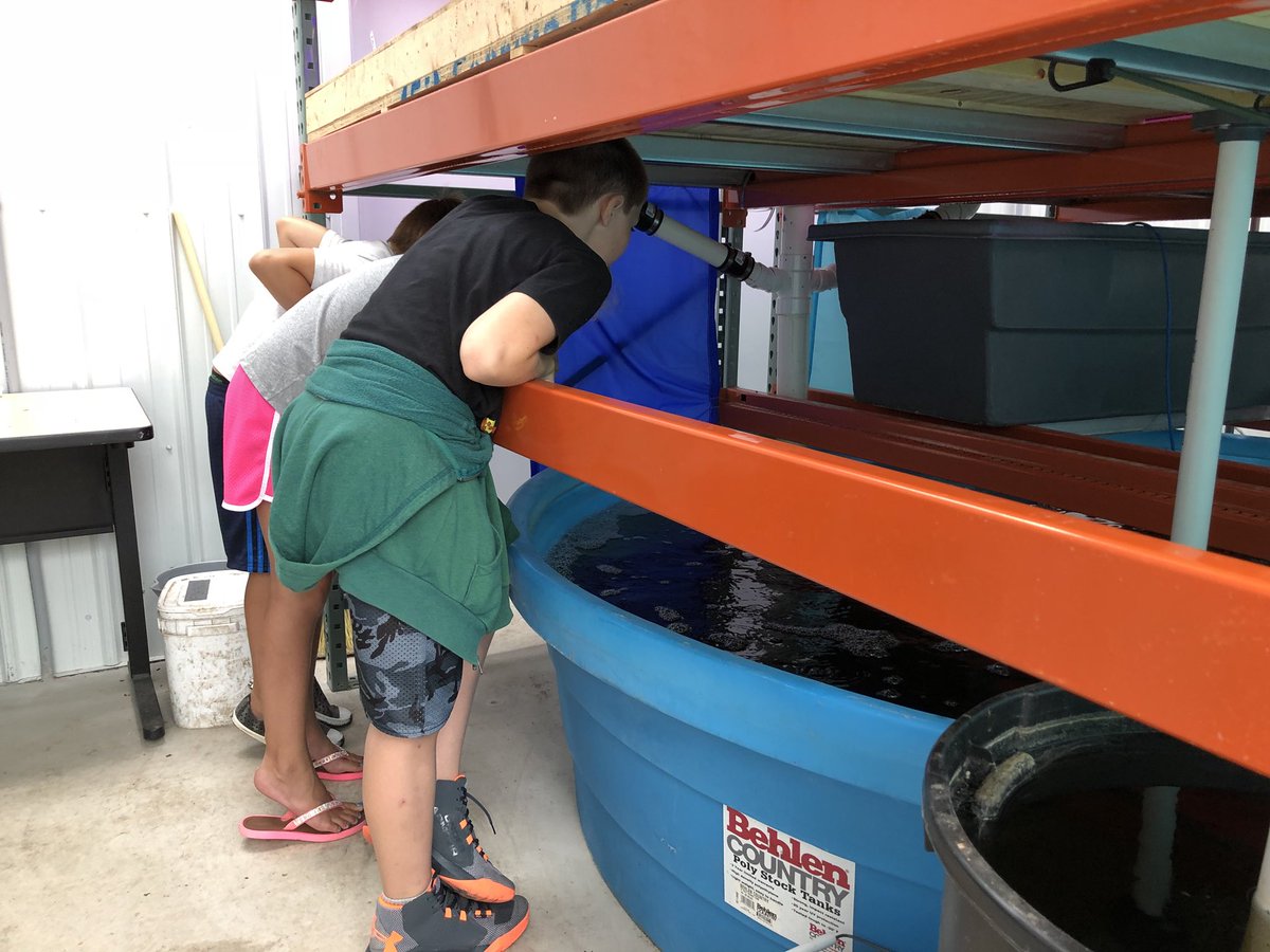MrsCarlsonWDP's tweet photo. The gardeners got our exercise and learning in together with a trip to @WDPHS yesterday! We saw the fish hatchery, greenhouse, and beautiful plants landscaping the building! #RockOnWestwood #wdppride https://t.co/sLrZZAvrgy