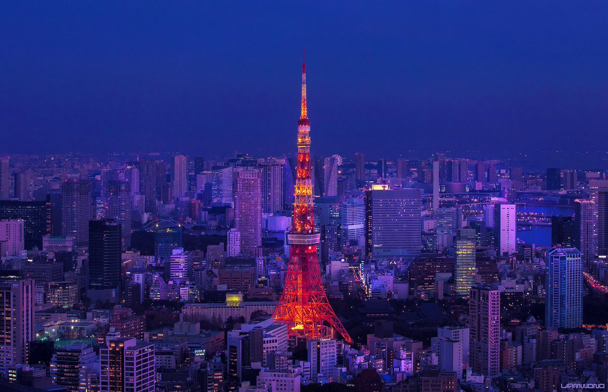 Tokyo skyline, with Tokyo tower at the center - a night time shot with darkish purple hues.