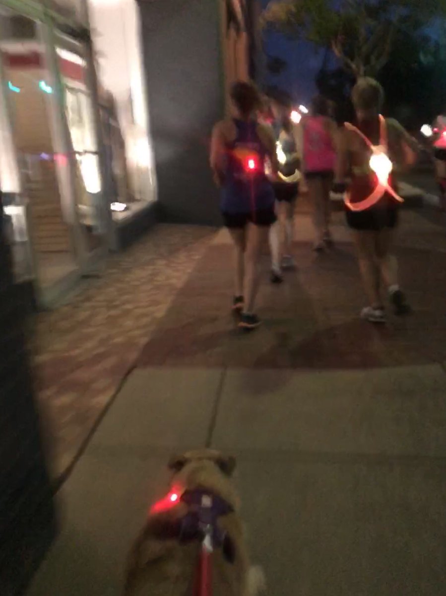 LilMysNinja's tweet image. This morning Elijah &amp;amp; I joined 66 other #FIA ladies for the Runvergence in honor of Cheech &amp;amp; in support of Rapunzel. I feel honored &amp;amp; blessed to be a part of this community. #CheechStrong @FiALexSC @FiALakeMurray @FiAScramblers #elijahontherun #runningdog #ElijahNiRun4Breckin