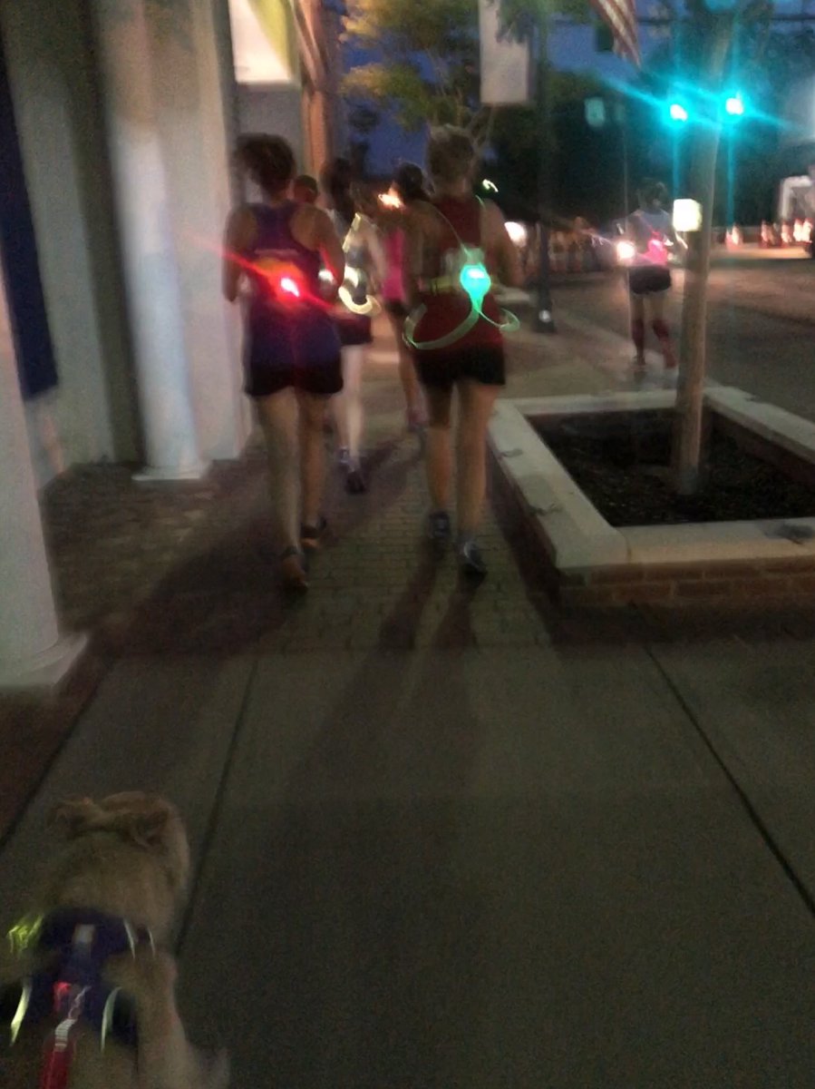 LilMysNinja's tweet image. This morning Elijah &amp;amp; I joined 66 other #FIA ladies for the Runvergence in honor of Cheech &amp;amp; in support of Rapunzel. I feel honored &amp;amp; blessed to be a part of this community. #CheechStrong @FiALexSC @FiALakeMurray @FiAScramblers #elijahontherun #runningdog #ElijahNiRun4Breckin