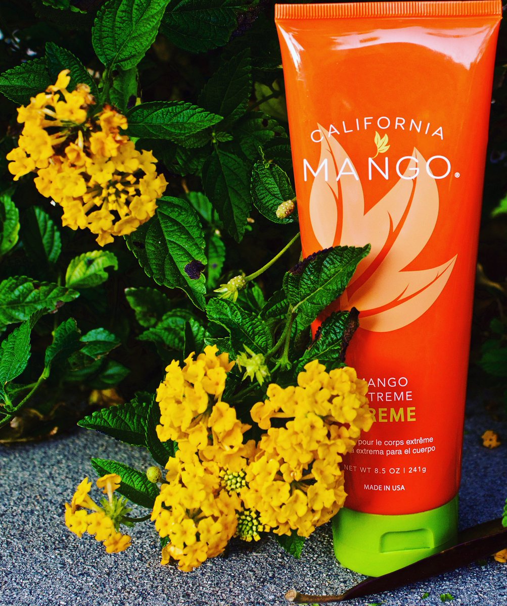 calmangofficial's tweet photo. Life isn’t about finding yourself. Life is about creating yourself. #thursdaythoughts #mangocream #thursdaymotivation #mangopic📷 #thursdayvibes #naturalproducts #mangolife #mangolove #mangotime #californiamango #calmango #lotion #skincare #skinbeautiful #cleanhands #smoothskin https://t.co/zoBSLyR3IU