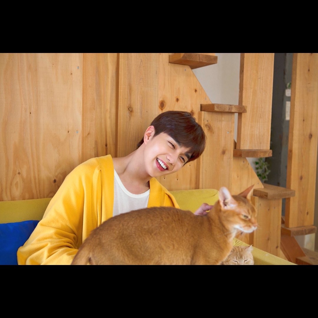 phyooseungho's tweet photo. [IG UPDATE] He's getting more gorgeous everytime I see new photos of him 😍

#YooSeungHo #Preview #PhotobookPhoto

Cr: yooseungho.san.official | ig https://t.co/e6SzVdXZdG