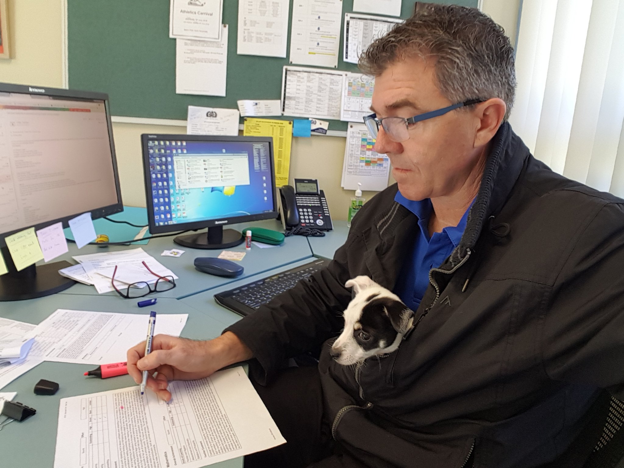 David MacSporran on Twitter "'Frankie', the Yates dog helping me check