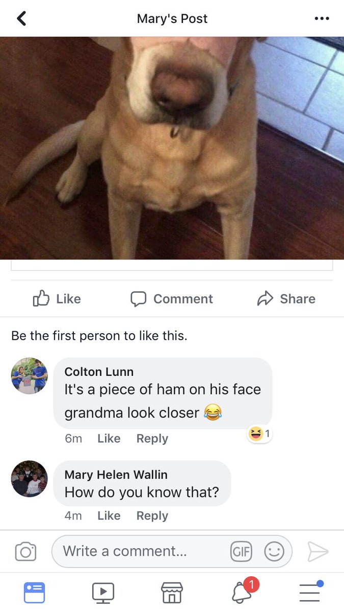 HaleyLunn98's tweet photo. Everyone please read my grandmas Facebook post 😂😂😂😂 https://t.co/7gbpPq0c0Z