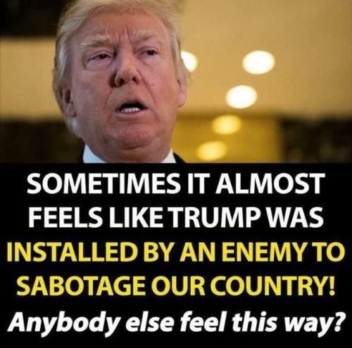 Catz4peace's tweet photo. #TrumpRussiaCollusion #TrumpRussiaCoverUp #TrumpsPuttonsPuppet #TrumpandtheBabySnatchers #TrumpRussiaTreason #TrumpRussiaTraitor https://t.co/qboYcXFp0g