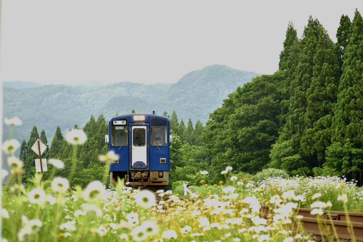 #非電化路線 の #素敵な風景 に出逢えました🚃🌻

#第三セクター  #ゆる鉄